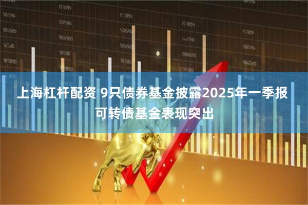 上海杠杆配资 9只债券基金披露2025年一季报 可转债基金表现突出