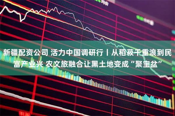 新疆配资公司 活力中国调研行丨从稻菽千重浪到民富产业兴 农文旅融合让黑土地变成“聚宝盆”