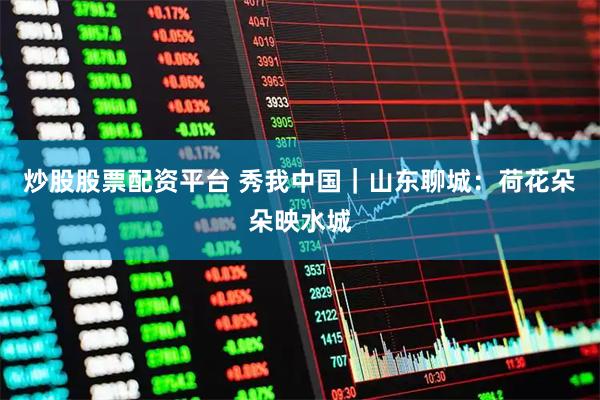 炒股股票配资平台 秀我中国｜山东聊城：荷花朵朵映水城